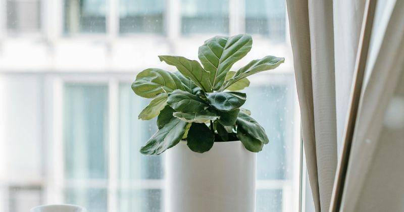 Pexels/Charlotte May